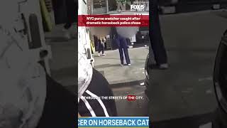 HORESEBACK TAKEDOWN: NYC purse snatcher caught after dramatic horseback police chase