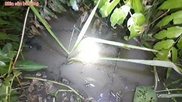 thăm 12 cửa ngục với 10 cái lờ và cái kết@biensanbatvlog