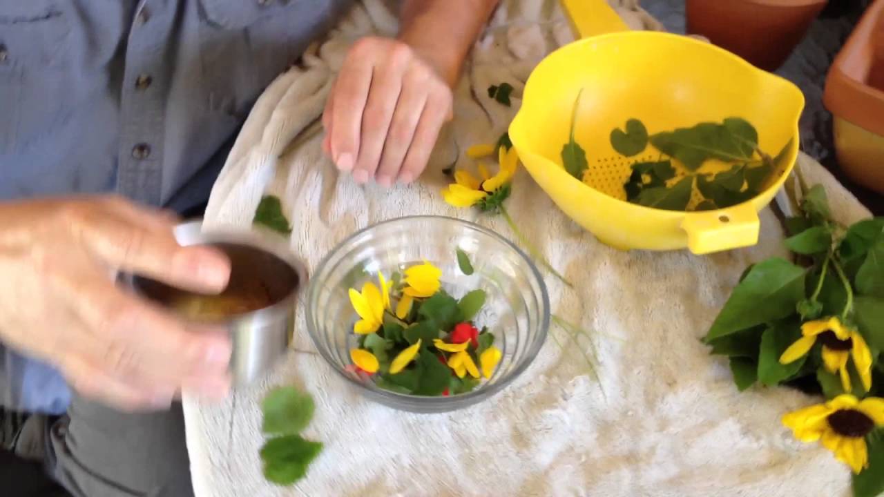 wild-edible-plant-foraging-back-yard-survival-salad-turks-cap-pony-s