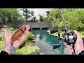 Fishing BIG Beaver Lures for BIG Bass!