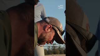 A Boy Scout troop for young refugees