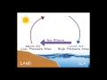 The Science Behind Sea and Land Breezes
