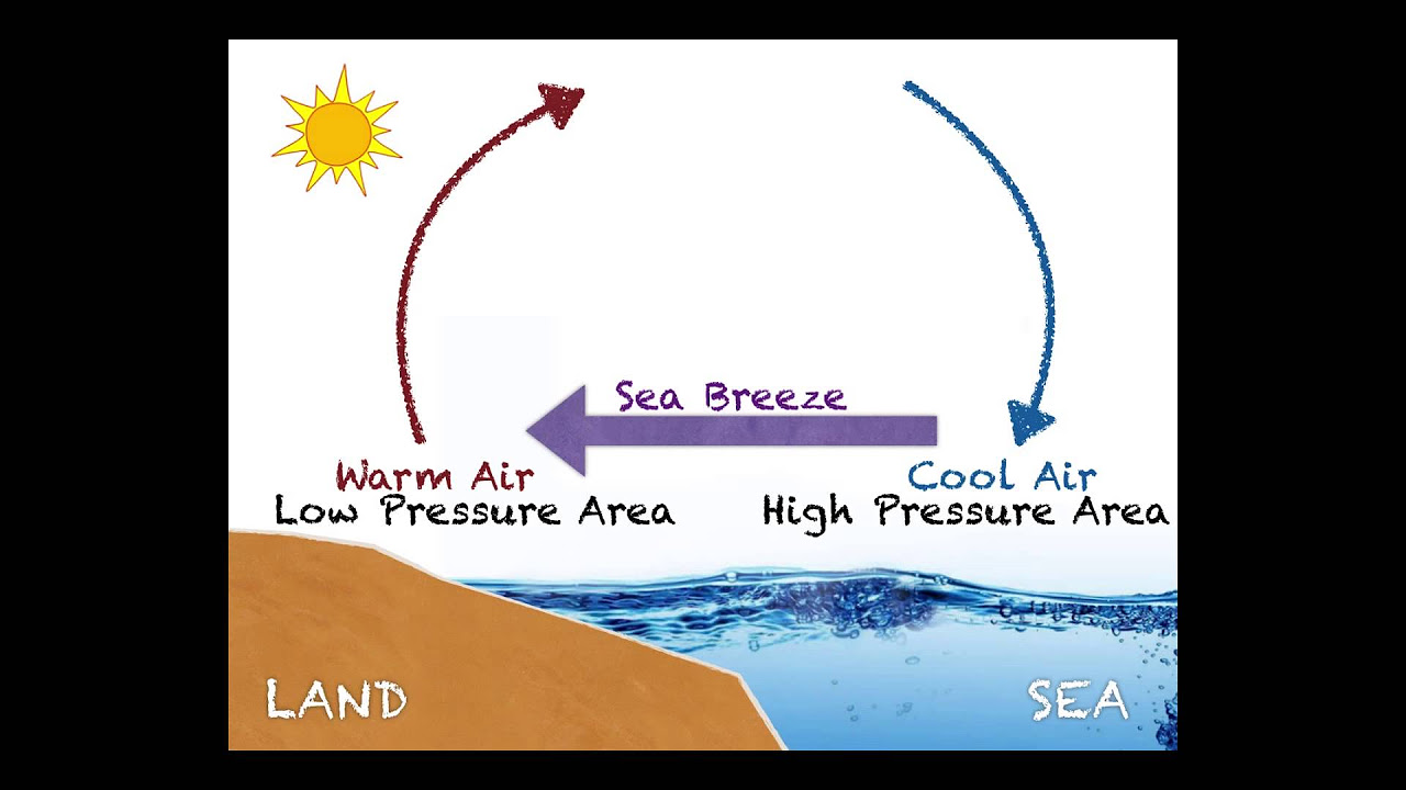 Create a Sea Breeze  Scientific American