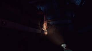 Here's a bit of gameplay from our horror game called "Quod:Episode 1"