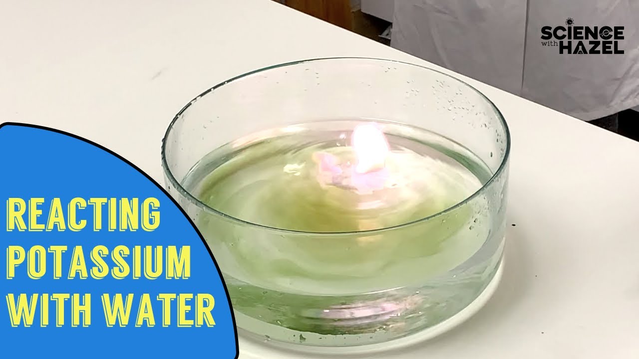 Potassium and Water. Калий и вода. Alkali Metals with Water. Reaction of Metal with Water gives. Калий поместили в воду реакция