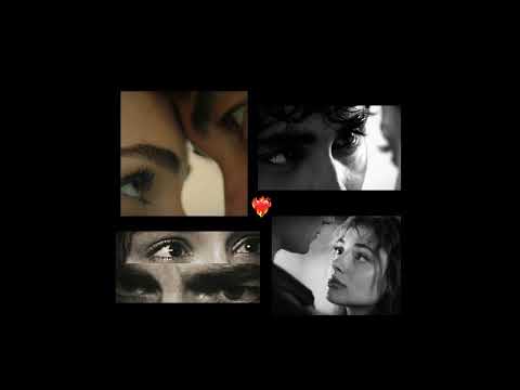      امل حجازى ويلك من الل ه