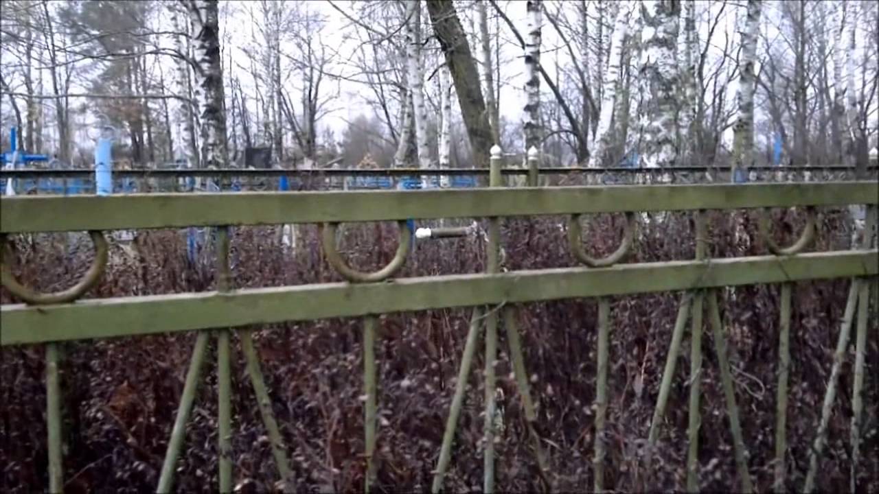 Малая Родина (.Д.Железники.Ветковского р-на.)