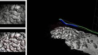 Visual-Inertial-Pressure SLAM with online dense 3D mapping on an underwater archeological site.