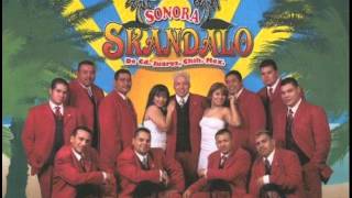 Lo amo - Sonora Skandalo chords