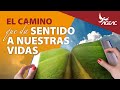 El Camino que da Sentido a nuestras Vidas