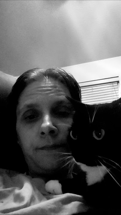 Terrific Tuesday evening cuddles with Susie girl. God bless & much love. ❤️ 🙏 #cutecatshorts#love