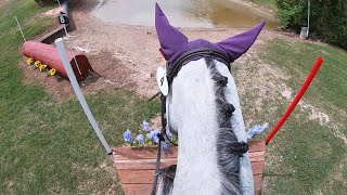 HELMET CAM XC: Finny's Macho Man Open Preliminary | 2024 Pine Hill Spring Horse Trials