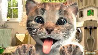 ADVENTURE OF A LITTLE KITTEN cartoon about Educational kittens -Cute Kitten Care Learning 1-10 #1040