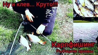 Бешенный клев карпа в конце апреля. Сильный ветер, рыбка клюет по две рыбки на кормушку. Архивы.