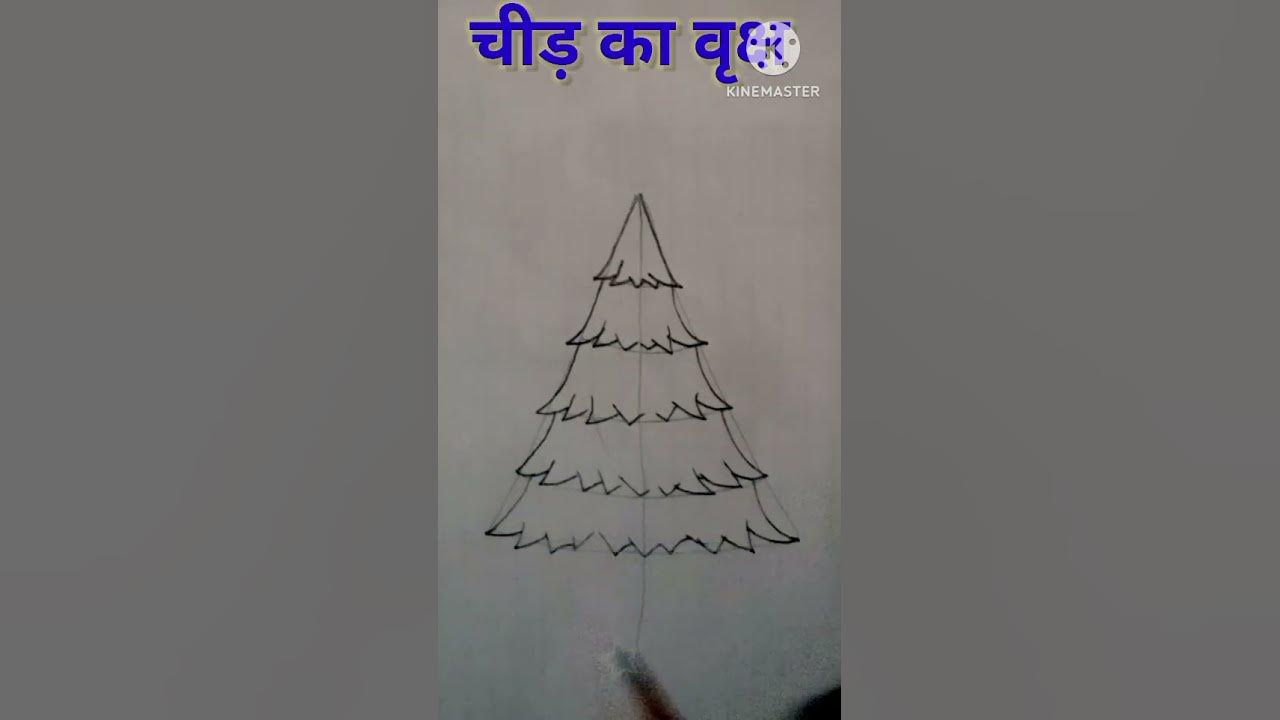 Tree Ka Chitr Easy Drawing For Kids Drawing art Chid Ka Ped tree-ka-chitr-easy-drawing-for-kids-drawing-art-chid-ka-ped