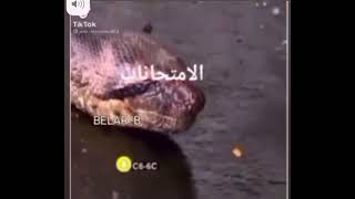 بموووووت من الضحك 🤣🤣🤣💃💃🏻 screenshot 5