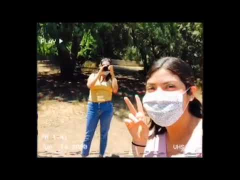 Hidden Gem In Beverly Hills.