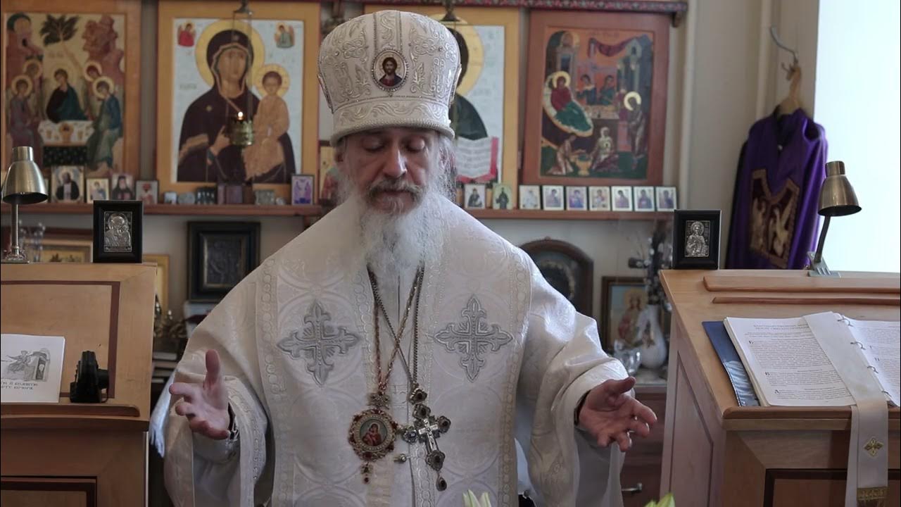 Епископ алексий бузулукский. Проповеди епископа. Проповедь епископа. Митрополит алексий петербург. Проповеди епископа.