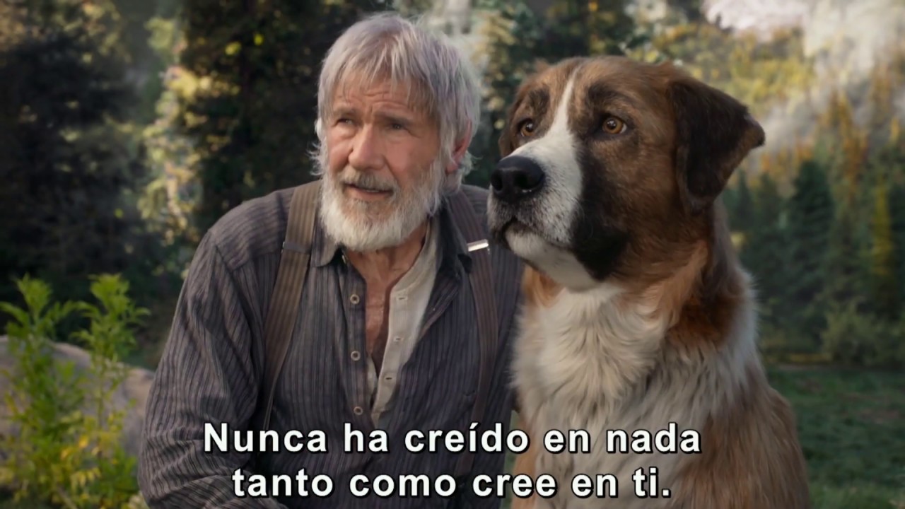 La Llamada De Lo Salvaje Descargar Torrent