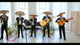 El Son De La Negra  Mariachi Fuego Noble 6  Pieces