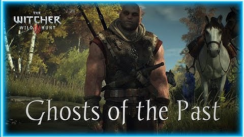 Witcher 3 modded gameplay Letho