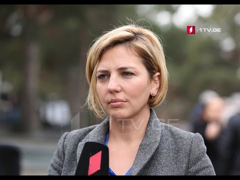 ანა დოლიძის პასუხი პრეზიდენტს