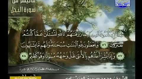تلاوة نادرة للشيخ محمد صديق المنشاوي ما تيسر من سوره النحل