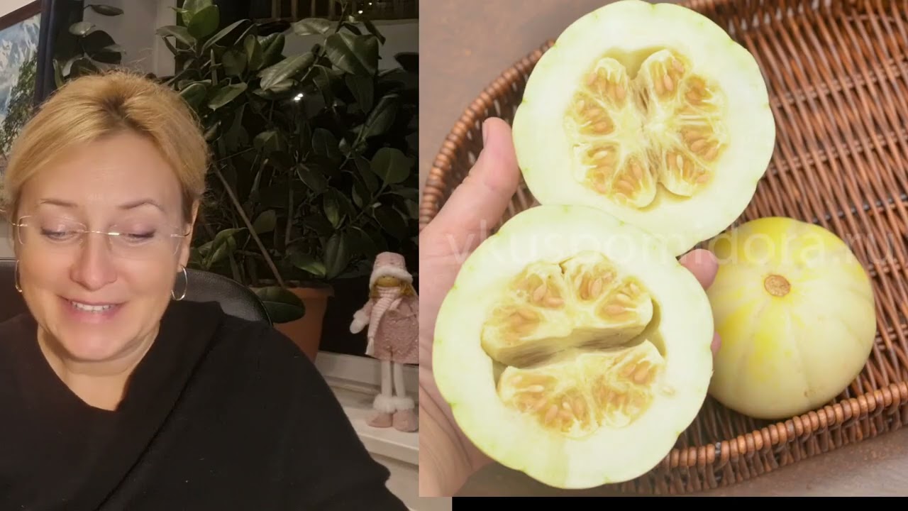 Самые сладкие дыни в Ленобласти!!!!