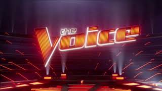 The Voice Rtv S01E03 Double Trouble