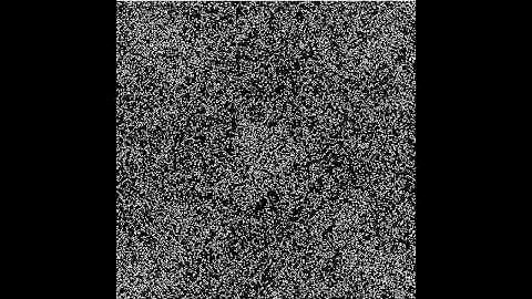 Lattice gas simulation