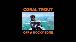 CORAL TROUT ATTACK! #fishing #greatbarrierreef