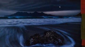 Wireshark Project CIS 150 JJJ