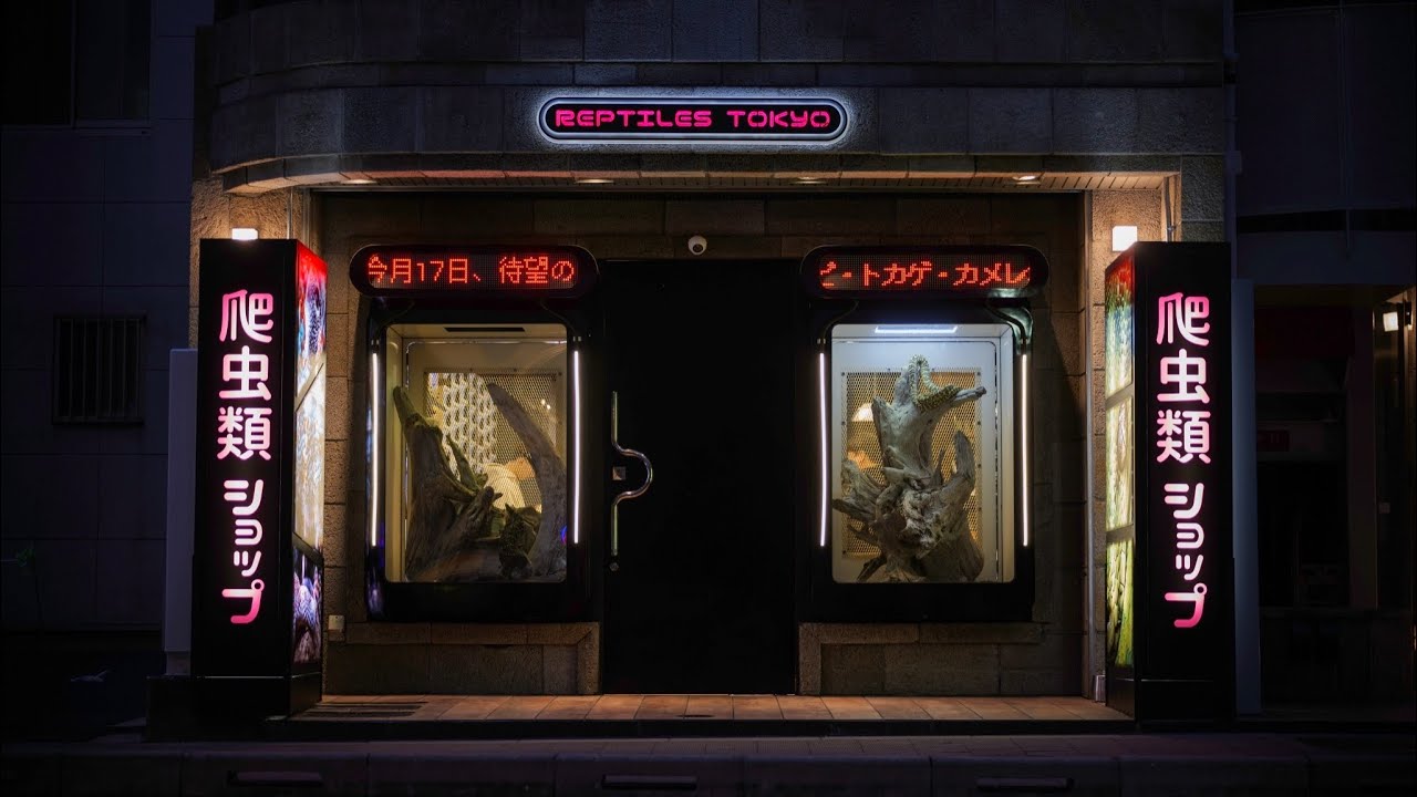 秋葉原本店がオープン致しました。