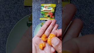 Dreamy ASMR Yupi 3D Gummi Dicking Opening 🍓🍬 #asmr #cuteasmr  #shorts #shortvideo