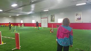 Ritz - Steeplechase 2nd Place - USDAA @ Agility At The Farm