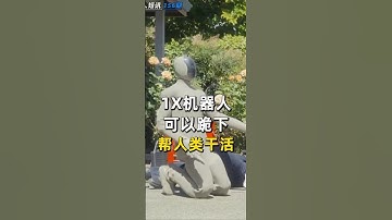 挪威1X机器人，拥有了自主干活脑子，Redwood  #人工智能机器人  #机器人 #robot #人形机器人  #humanoidrobot