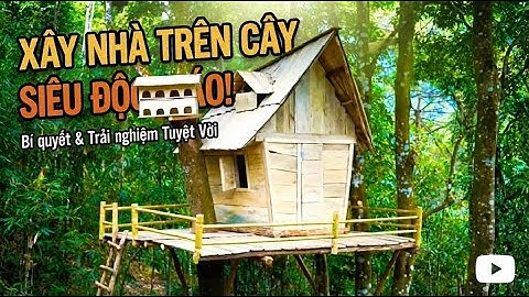 Sinh tồn trong rừng 1 | Xây nhà gỗ hoàn chỉnh trên cây lớn – Hành trình sống giữa hoang dã
