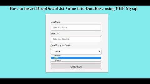 how to insert a dropdownlist value into database using PHP Mysql