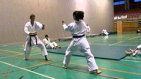 Washinkai Karate Javea Shodan Black Belt Yakusoku and Ohyo Kumite