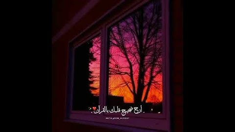 القارئ عبدالرحمن مسعد وتلاوة من سوره الروم ♥️
