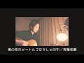 僕の見たビートルズはテレビの中/斉藤和義(cover)わたなべれーな