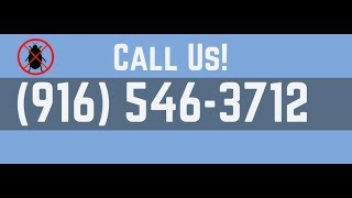 granite bay pest control | 916-546-3712