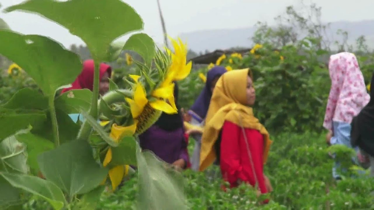 Tempat selfie paling ngehits dan viral di jogja  taman 