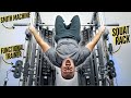 Smith machinefunctional trainersquat rack 3in1forceusa g15 review