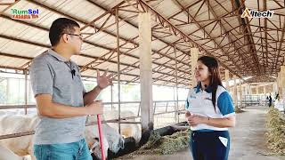 Victa Ranch, Protein Block, Paano nga ba sila natulungan sa supplementation ng mga alagang Cattle?