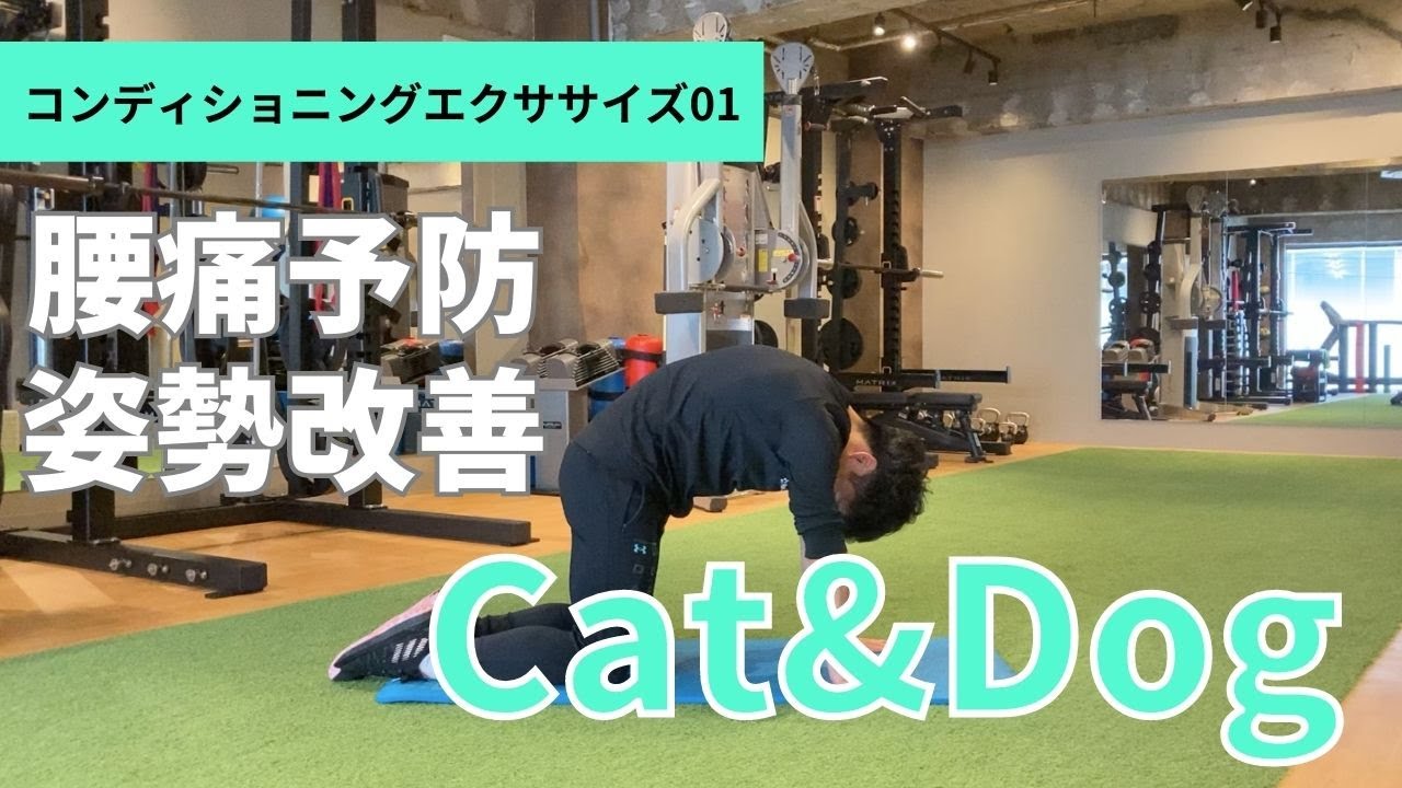 コンディショニングエクササイズ01　【キャット＆ドッグ】