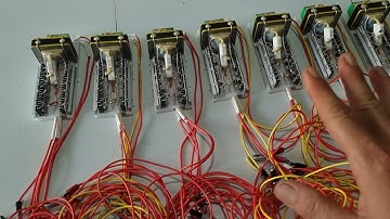 Kích cá có thể tăng giá anh em tranh thủ - KICH CA KHANG DUY 