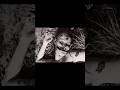 ലോകത്തെ നടുക്കിയ കൊടൂര കൊലപാതകം 🩸😨| BLACK DAHLIA MURDERS #malayalamhorror