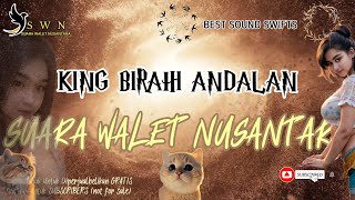 KING BIRAHI ANDALAN | Suara Walet Terbaru