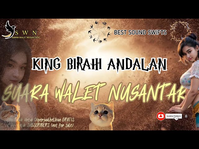 KING BIRAHI ANDALAN | Suara Walet Terbaru class=